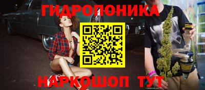 соль ск Дубна