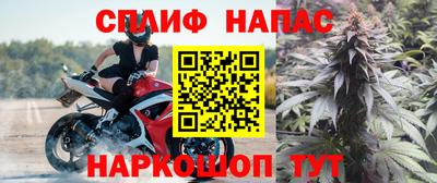 гашик Донецк