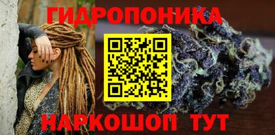 гашик Донецк