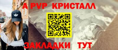 стафф Донской
