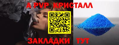 стафф Донской