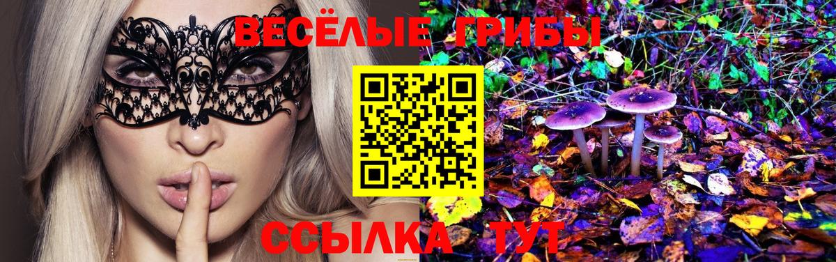 Галлюциногенные грибы Psilocybe  Галлюциногенные грибы GOLDEN TEACHER  Вход с VPN  Миллерово 